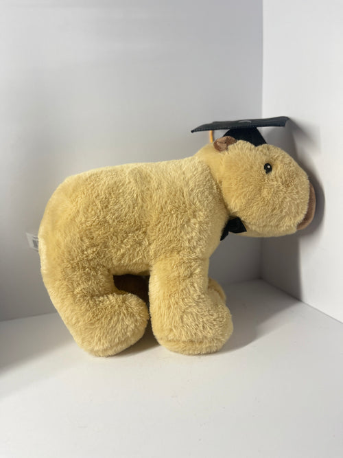 [Back to School] Graduation Capybara Plush | Peluche de Capibara para Graduación – Pao Bloom Studio