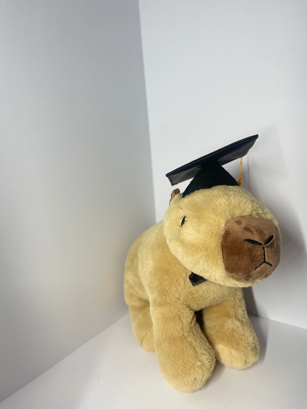 Graduation Capybara Plush Toy with Dr. Cap and Tassele